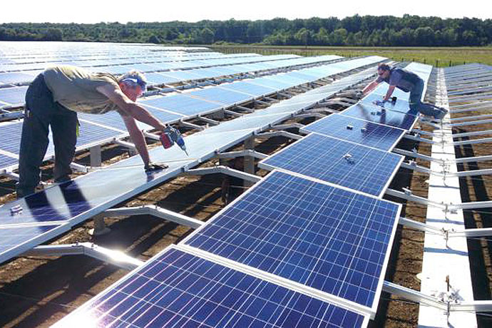 Sunčana elektrana Medinci: Energijom Sunca do zdrave paprike, kupusa i peršina