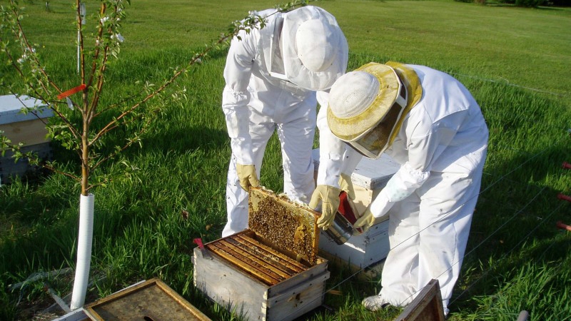 Pčelari s područja Virovitičko-podravske županije zadovoljni organizacijom ovogodišnjeg sajma Agroexpo 2015.