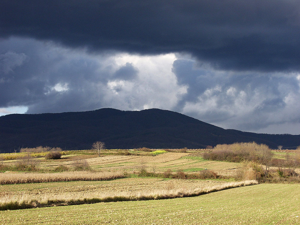 U pripremi pilot projekt za komasaciju na području Virovitičko-podravske županije