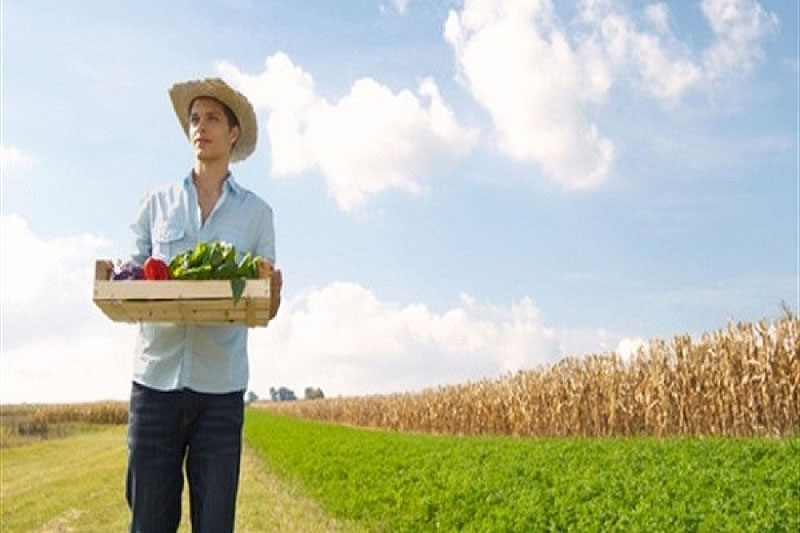 Objavljen natječaj za potporu mladim poljoprivrednicima – podmjera 6.1.