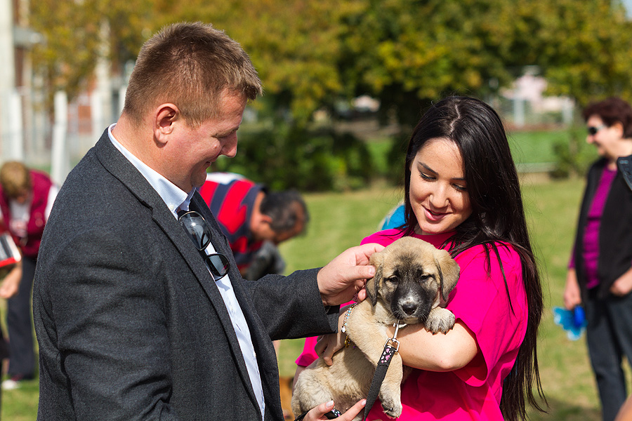 FOTO: Grad Virovitica u Južnom bloku uredio ograđeno igralište za pse