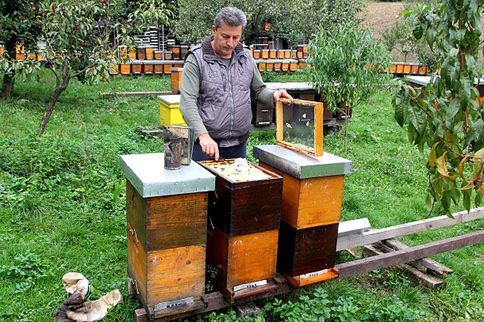 U Virovitici započela edukacija za pčelare u sklopu EU projekta „Beekeeping revolution“