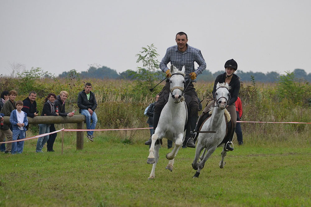 Dođite u nedjelju, 4. listopada, u Gornje Predrijevo na 6. mijoljsku potkovu