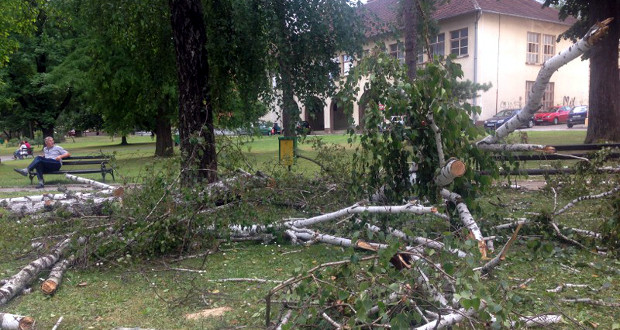 Grad Slatina kreće s uređivanjem krošnji stabala u Parku 136. brigade