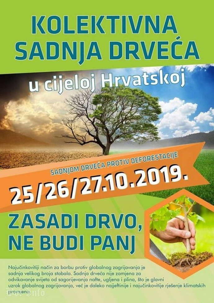 Zasadi stablo, ne budi panj: Virovitičko-podravska županija i Uprava šuma Slatina posadit će sa školama i vrtićima oko 200 stabala 1 zasadi drvo 690