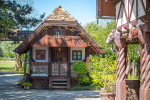 zlatni-klas-otrovanec-foto-kristijan-toplak-14