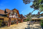 zlatni-klas-otrovanec-foto-kristijan-toplak-5