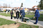 skola-slatina-radovi-57