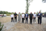 mrtvi-jarak-331
