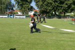 P1360253