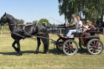 viber_slika_2026-06-28_12-30-28-033_1024x576