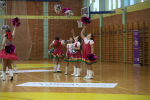 Kosarka-VTC-Final-four-Finale-Mursa-Polka-foto-kristijan-toplak-49