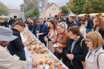 IMG_20261010_092734