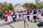 IMG_20261010_101239