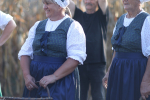 miljevci-dani-kukuruza-117