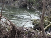 virovitica-nature.com