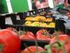 agroklub.com