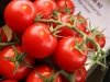 agroklub.com
