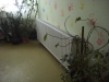 dsc02827