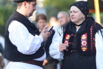 vocinska-kestenijada-132