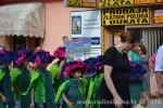 Fotogalerija: Slatinski Cvjetni korzo i ove je godine okupio veliki broj djece 24 Cvjetni korzo 2016 22