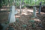 IMG 4917
