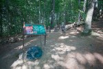 IMG 4922