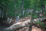 IMG 4926