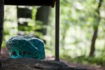 IMG 4956