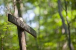 IMG 4958