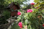 Fotoreportaža: U Zlatnom klasu će vas dočekati pjev Đureka, miris kamilice i bazge, konji gizdavi, te prvoklasna hrana naših predaka 3 IMG 6224