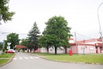 Završena energetska obnova zgrade Doma zdravlja Virovitičko-podravske županije u Orahovici 5 domZdravljaVpz 6