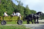 2606vinskimaraton3