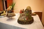 IMG 5437