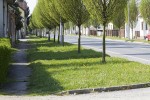 Potpisan Okvirni sporazum za gradnju 29 cesta i nogostupa na području grada Virovitice 6 VTCRadovi 6