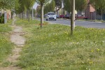 Potpisan Okvirni sporazum za gradnju 29 cesta i nogostupa na području grada Virovitice 8 VTCRadovi 8