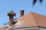 IMG 0408