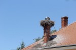 IMG 0409