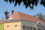IMG 0410