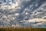 IMG 7403