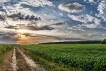 IMG 7413 Pano