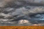 IMG 7515 Pano