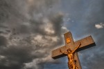 IMG 7557