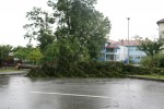Stravične slike: U samo 20 minuta, oko 1.000 munja je pogodilo Orahovicu i širu okolicu, pijavica i led su uništavali središte grada 4 orahovica Nevrijeme 4