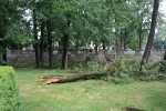 Stravične slike: U samo 20 minuta, oko 1.000 munja je pogodilo Orahovicu i širu okolicu, pijavica i led su uništavali središte grada 34 orahovicaNevrijeme 30
