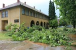 Stravične slike: U samo 20 minuta, oko 1.000 munja je pogodilo Orahovicu i širu okolicu, pijavica i led su uništavali središte grada 12 orahovicaNevrijeme 6