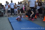 Korina Knapić je u "puzanju" bila "kao vjetar" i osvojila 8. prvenstvo beba, srebro i broncu su "uzele" dvije blizankinje, Nina i Maja Prpić 3 8. natjecanje beba u puzanju 4