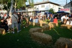 Fotogalerija: 10. dan pečenjakov u Pitomači, kuhalo se i peklo više od 2.500 klipova kukuruza 12 DSC 4063