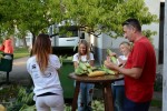 Fotogalerija: 10. dan pečenjakov u Pitomači, kuhalo se i peklo više od 2.500 klipova kukuruza 13 DSC 4078