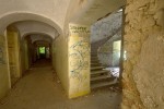 IMG 3099